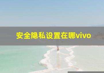 安全隐私设置在哪vivo