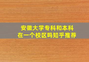 安徽大学专科和本科在一个校区吗知乎推荐