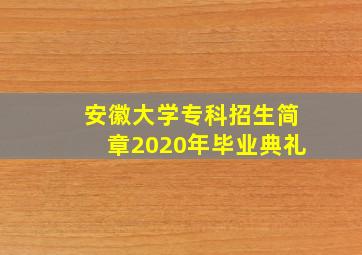 安徽大学专科招生简章2020年毕业典礼