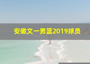 安徽文一男篮2019球员