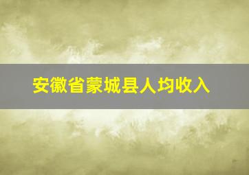 安徽省蒙城县人均收入