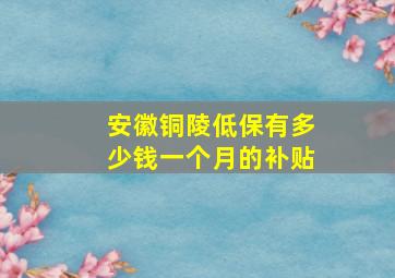 安徽铜陵低保有多少钱一个月的补贴