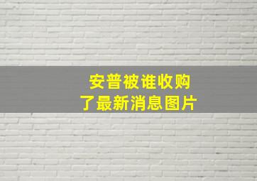 安普被谁收购了最新消息图片