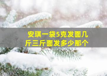 安琪一袋5克发面几斤三斤面发多少那个