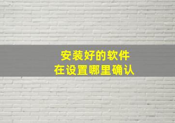 安装好的软件在设置哪里确认