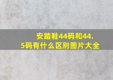 安踏鞋44码和44.5码有什么区别图片大全