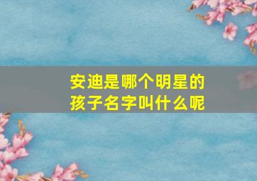 安迪是哪个明星的孩子名字叫什么呢