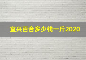 宜兴百合多少钱一斤2020