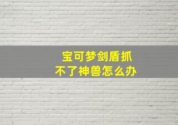 宝可梦剑盾抓不了神兽怎么办