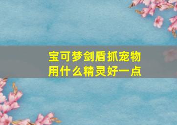 宝可梦剑盾抓宠物用什么精灵好一点