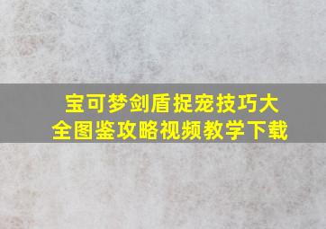 宝可梦剑盾捉宠技巧大全图鉴攻略视频教学下载