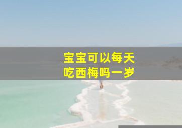 宝宝可以每天吃西梅吗一岁