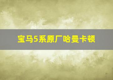 宝马5系原厂哈曼卡顿