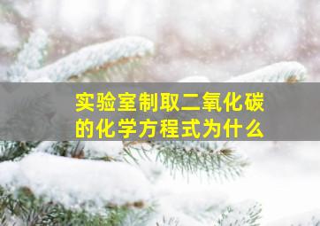 实验室制取二氧化碳的化学方程式为什么