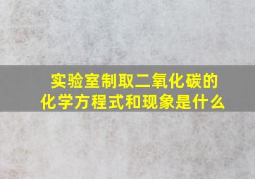 实验室制取二氧化碳的化学方程式和现象是什么