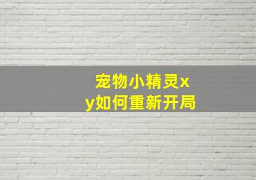 宠物小精灵xy如何重新开局