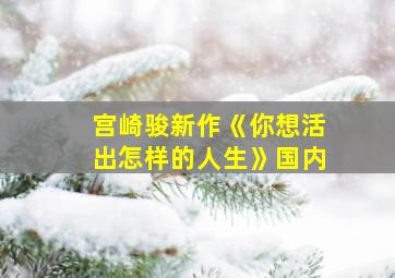 宫崎骏新作《你想活出怎样的人生》国内