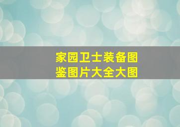 家园卫士装备图鉴图片大全大图