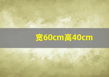 宽60cm高40cm