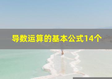 导数运算的基本公式14个