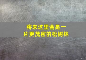 将来这里会是一片更茂密的松树林