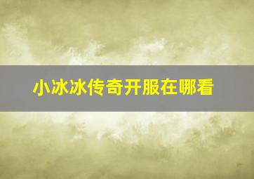 小冰冰传奇开服在哪看