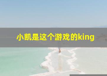 小凯是这个游戏的king