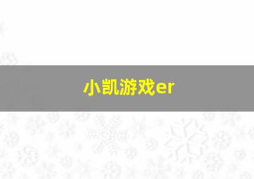 小凯游戏er