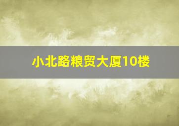 小北路粮贸大厦10楼