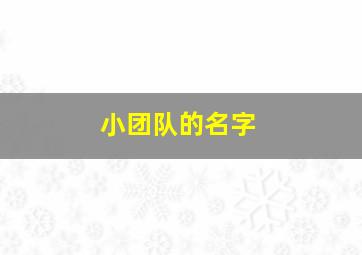 小团队的名字