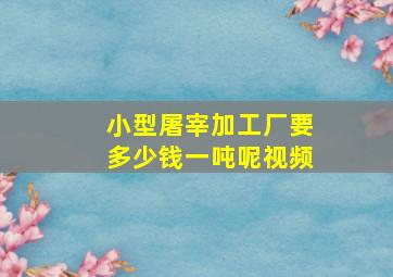 小型屠宰加工厂要多少钱一吨呢视频