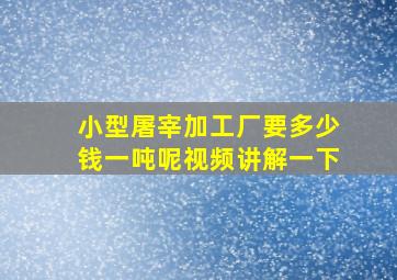 小型屠宰加工厂要多少钱一吨呢视频讲解一下