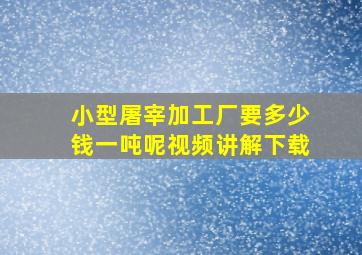 小型屠宰加工厂要多少钱一吨呢视频讲解下载