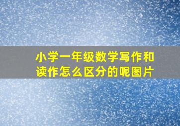 小学一年级数学写作和读作怎么区分的呢图片