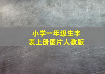 小学一年级生字表上册图片人教版