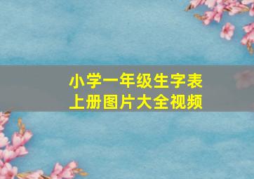 小学一年级生字表上册图片大全视频