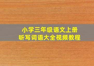 小学三年级语文上册听写词语大全视频教程