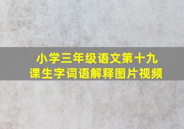 小学三年级语文第十九课生字词语解释图片视频