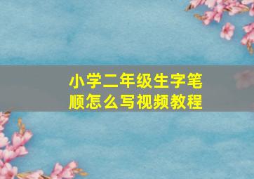 小学二年级生字笔顺怎么写视频教程