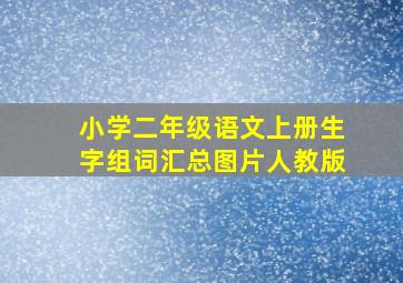 小学二年级语文上册生字组词汇总图片人教版