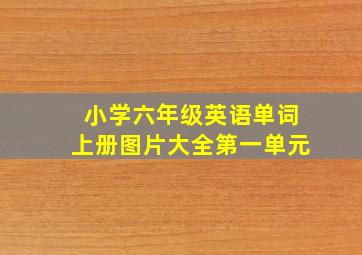 小学六年级英语单词上册图片大全第一单元