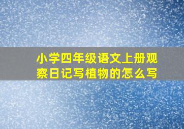 小学四年级语文上册观察日记写植物的怎么写