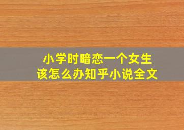 小学时暗恋一个女生该怎么办知乎小说全文