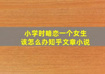 小学时暗恋一个女生该怎么办知乎文章小说