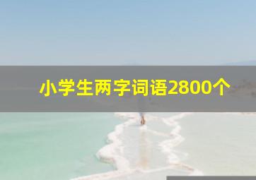 小学生两字词语2800个