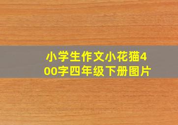 小学生作文小花猫400字四年级下册图片