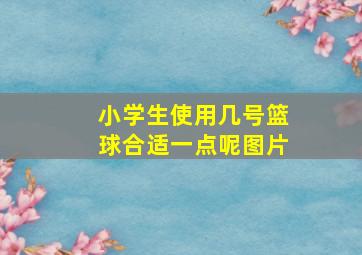 小学生使用几号篮球合适一点呢图片