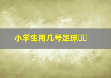 小学生用几号足球⚽️