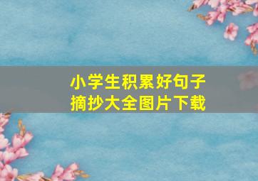 小学生积累好句子摘抄大全图片下载