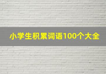 小学生积累词语100个大全